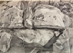 Jerusalem Forest
pencil Jerusalem Forest
pencil